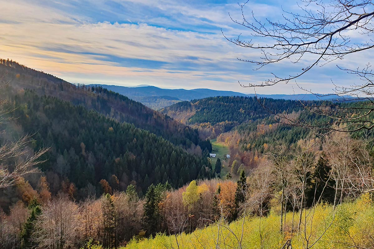 Landschaft im Thüringer Wald