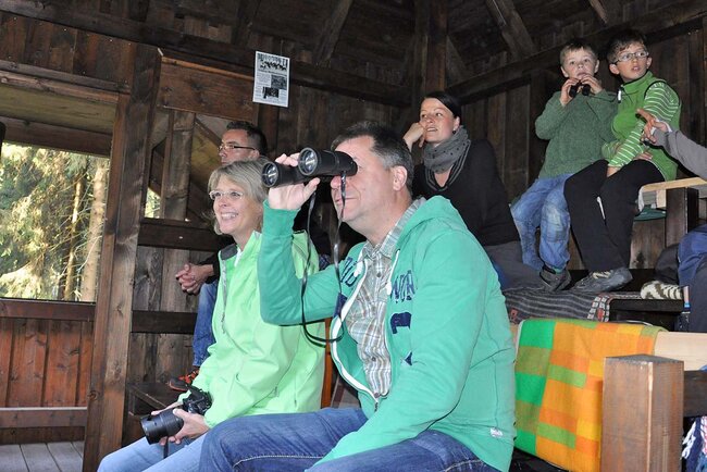 In der Beobachtungskanzel In der Beobachtungskanzel