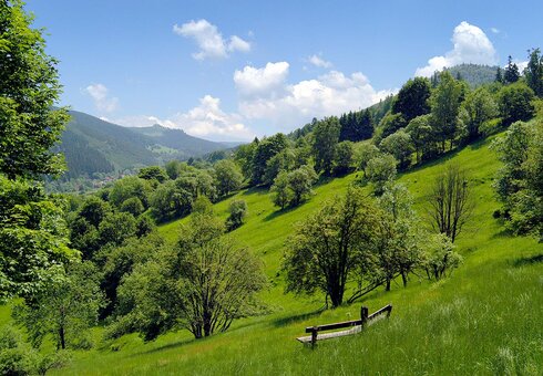 Landschaftsimpression