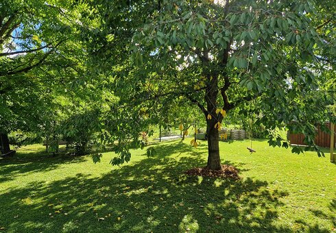 Garten mit Liegewiese