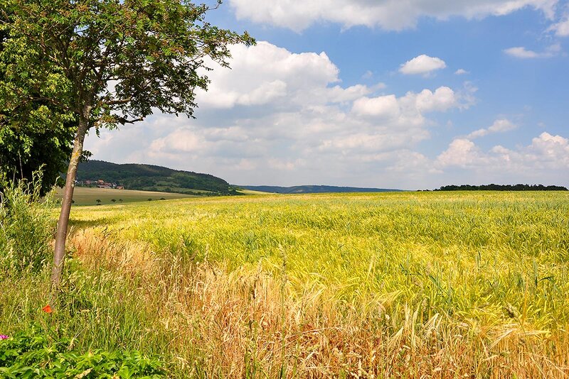 Landschaft im Sommer