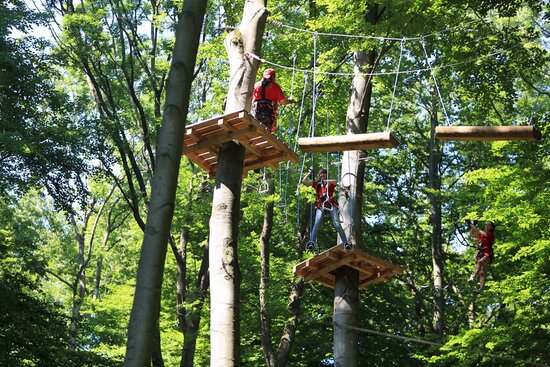 Kletterwald Hainich