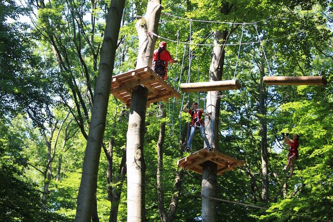Kletterwald Hainich