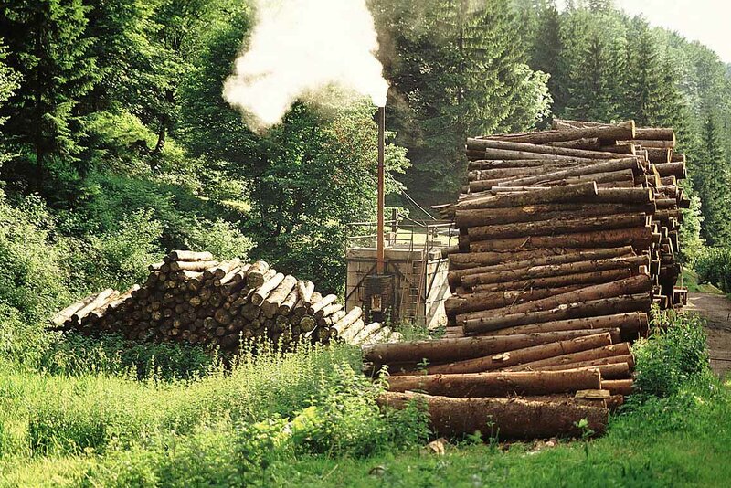 Köhlerei im Glasbachtal