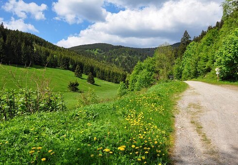 Landschaft im Pochwerksgrund