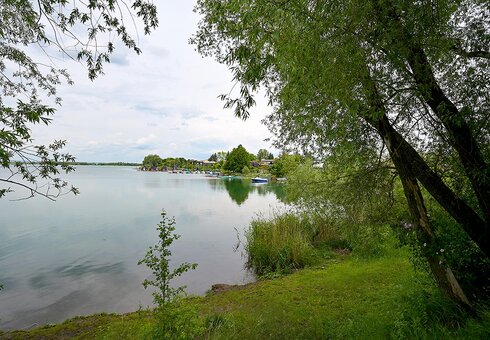 Alperstedter See bei Erfurt