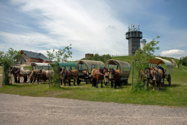 Reit- und Kutschtouristik Ortlepp