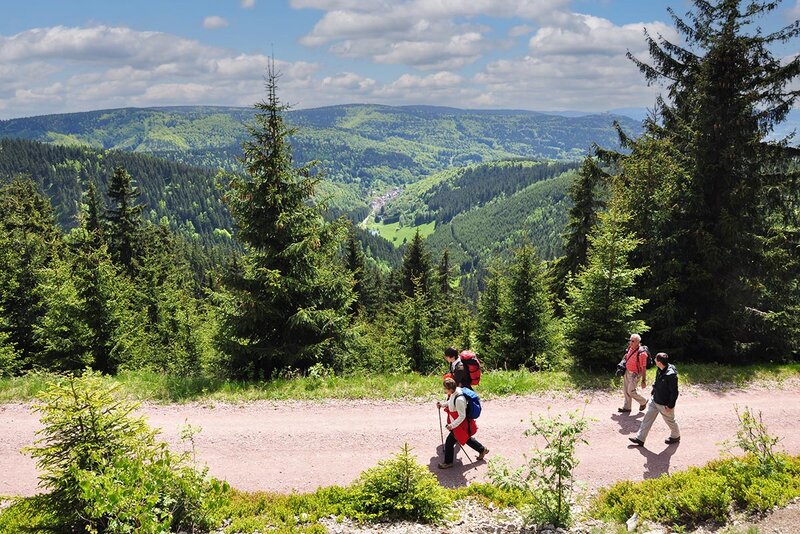Wandern bei Goldlauter-Heidersbach (ein Ortsteil von Suhl)