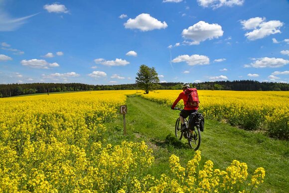 Voll im Trend - sportlich mit dem Fahrrad unterwegs Voll im Trend - sportlich mit dem Fahrrad unterwegs