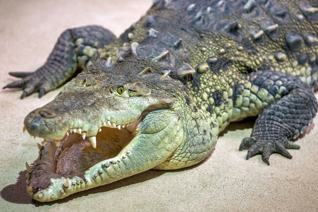 Erlebnispark Meeresaquarium