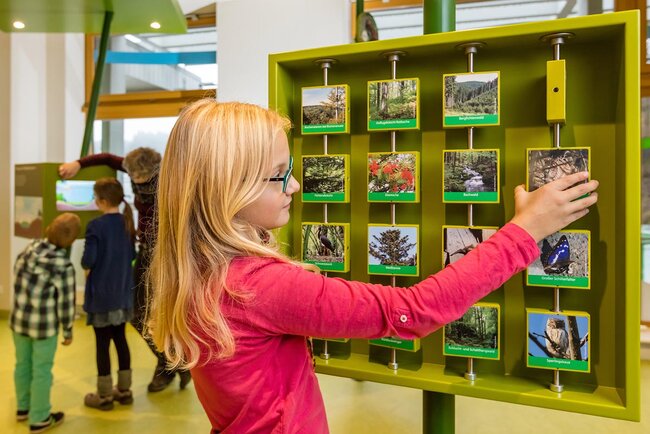 Infozentrum Biosphärenreservat Thüringer Wald 