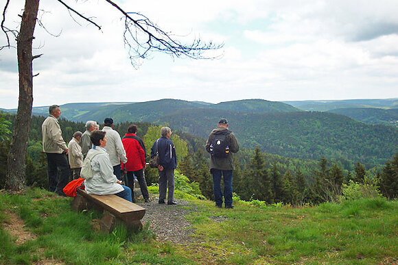 Wandern bei Steinach