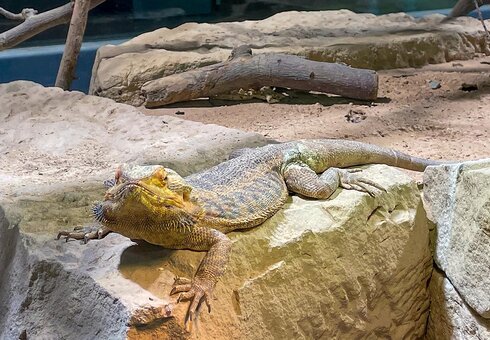 Exotarium Oberhof