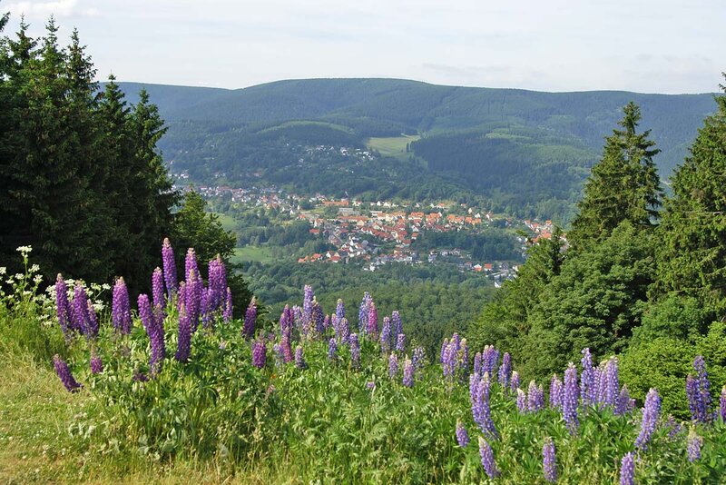 Blick auf den Erholungsort Suhl-Goldlauter