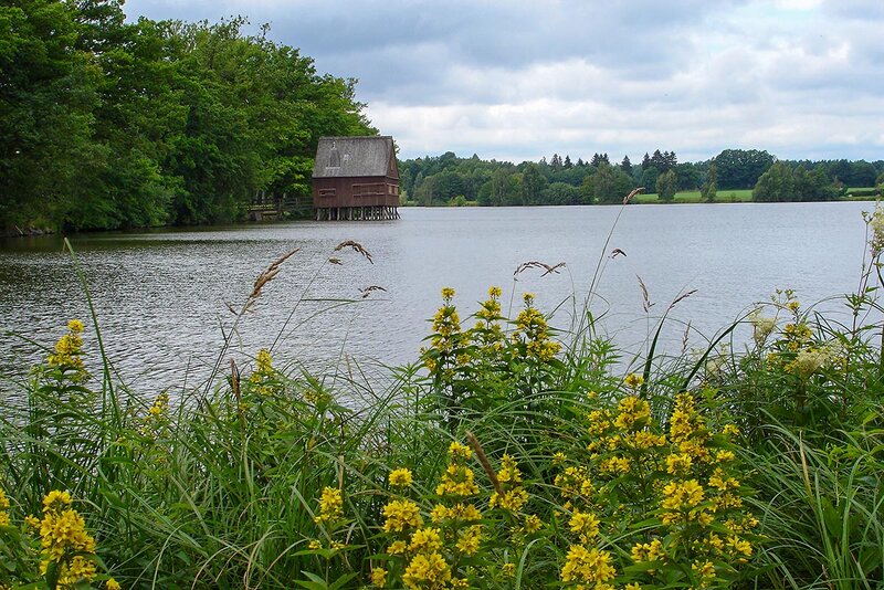Plothener Teiche (hier der Hausteich)