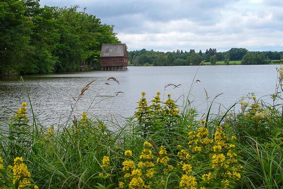 Plothener Teiche