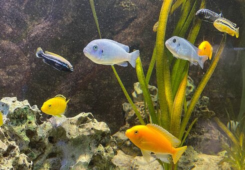 Exotarium Oberhof
