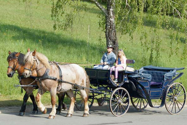 Reit- und Kutschtouristik Ortlepp