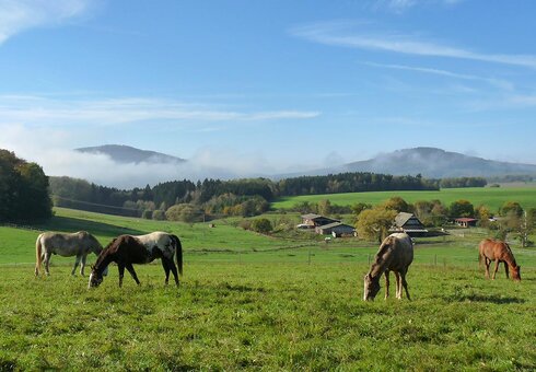 Herrliche Lage an den Gleichbergen