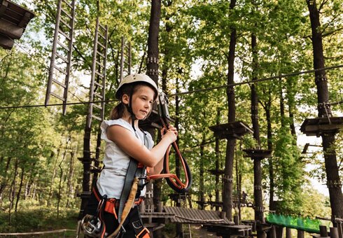 Kletterwald Koala