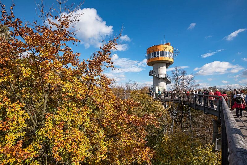 Baumkronenpfad im Nationalpark Hainich