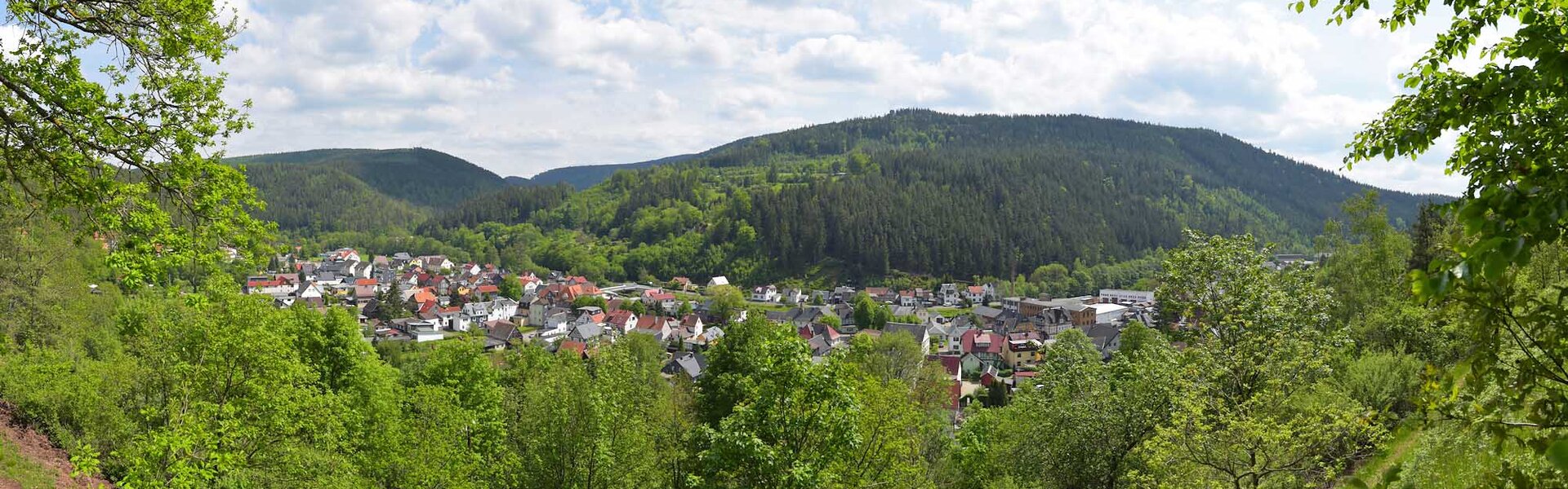 Blick auf den Ort Sitzendorf