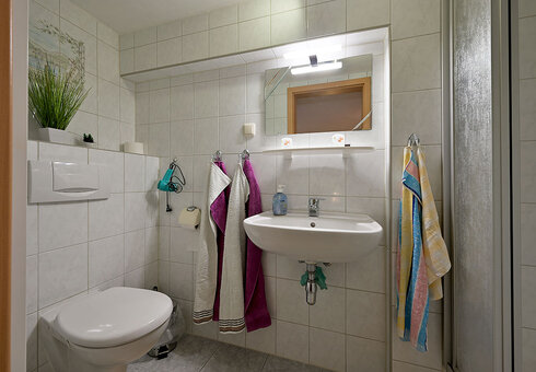 großes Appartement (Dusche / WC)