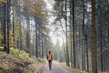 Herbstwanderung im Thüringer Wald
