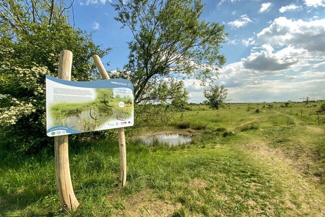 Napoleonpfad-natura-jenensis