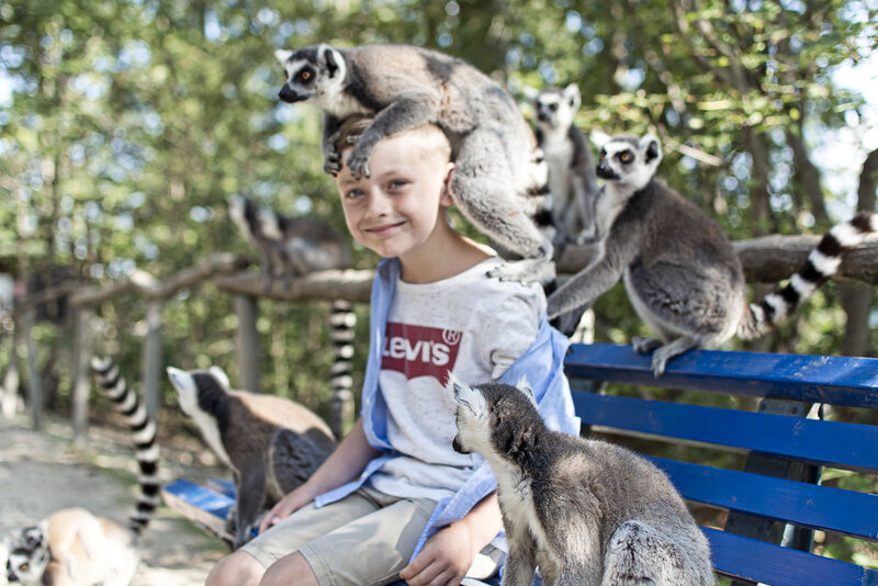 Affenwald in Straußberg