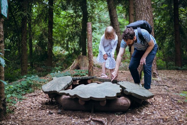 Fröbelwald (Foto: Steven Neukirch)