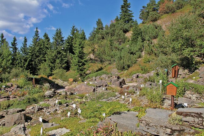 Rennsteiggarten Oberhof Rennsteiggarten Oberhof