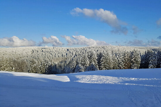 Ferienwohnung "Haus Silberblick" ****