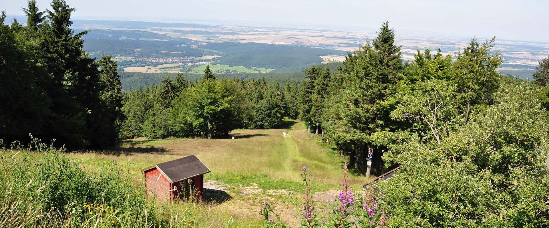 Inselsberg