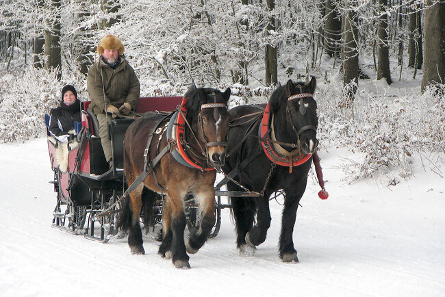 Reiterhof Rosenberger Hof