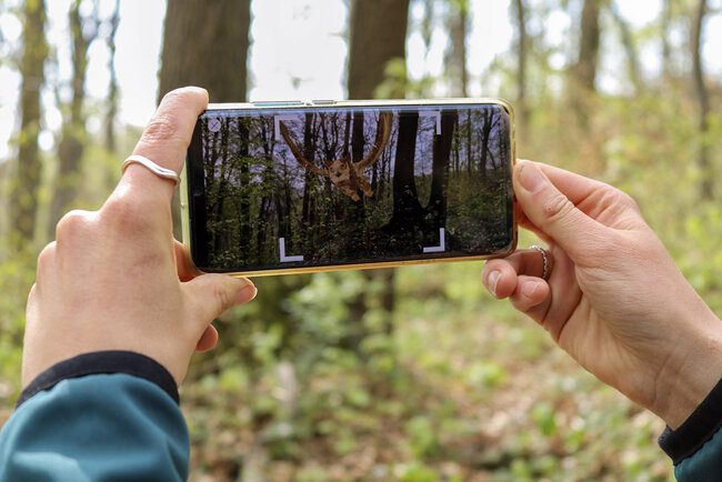 Waldpfad-Schlauer-Ux-natura-jenensis