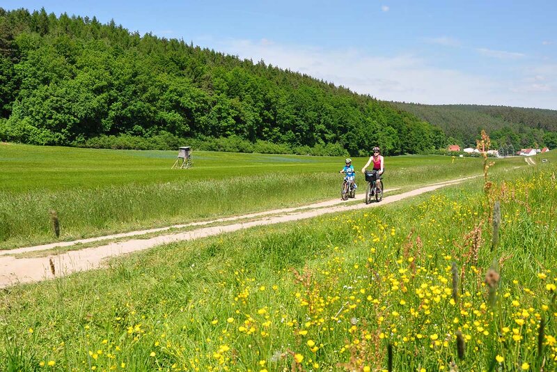 Radfahren im Ilmtal
