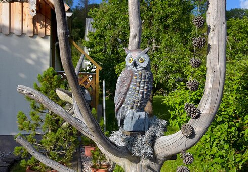 Holz-Eule vor dem Ferienhaus