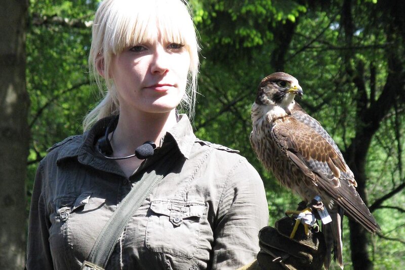 Falknerei am Rennsteig