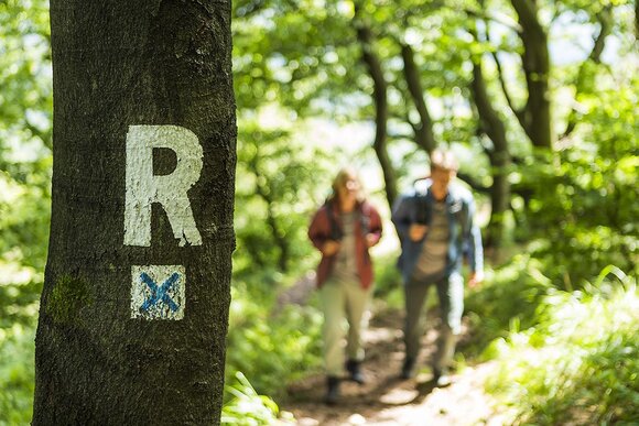 Wandern am Rennsteig