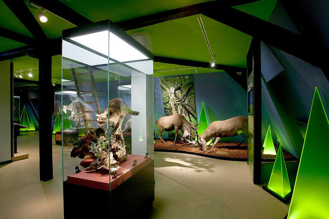 Haus der Natur Goldisthal