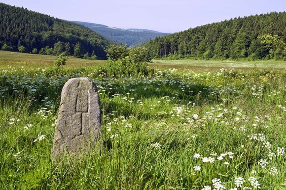 Grenzstein am Rennsteig