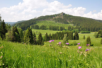 Landschaft im Kanzlersgrund (bei Oberhof)
