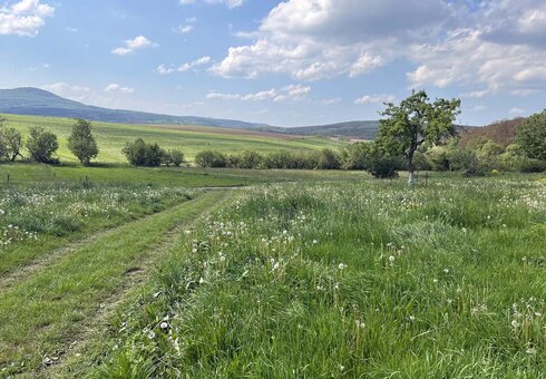 Schöne 104 qm FeWo + Garten in der Rhön