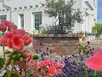 Gästehaus Landlust, Elxleben