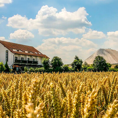 Hotel Waldschlösschen Hotel Waldschlösschen