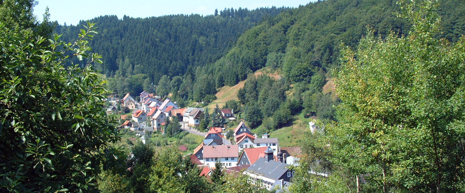 Blick auf Fehrenbach