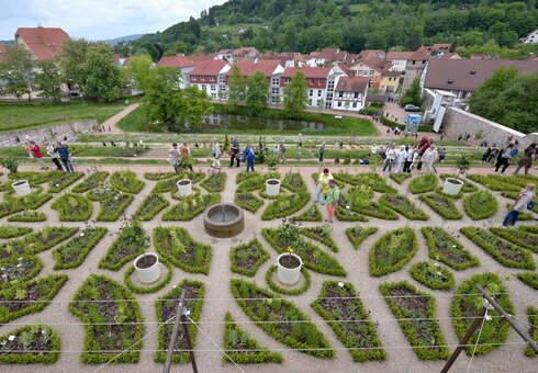 Schloss Wilhelmsburg - Terrassengarten