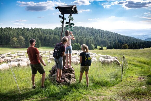 Neuhöfer Wiese (Foto: René Kellermann)