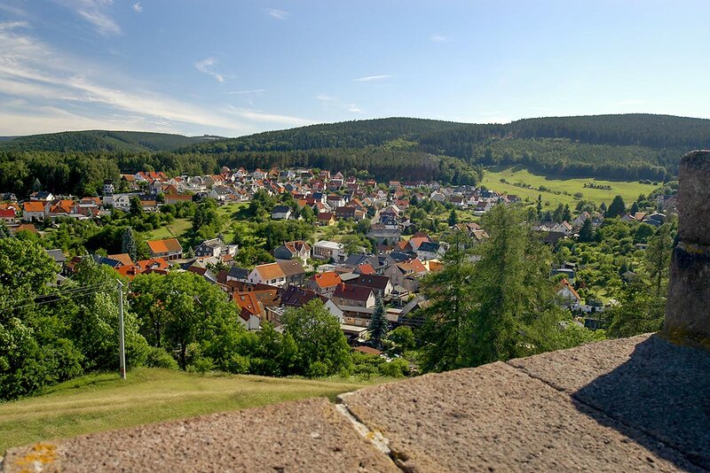 Blick auf den Ort Frankenhain